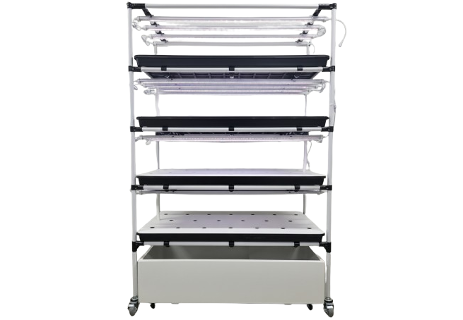 AI 스마트가든 싱글